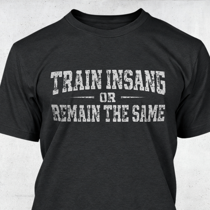 Train Insane or Remain The Same