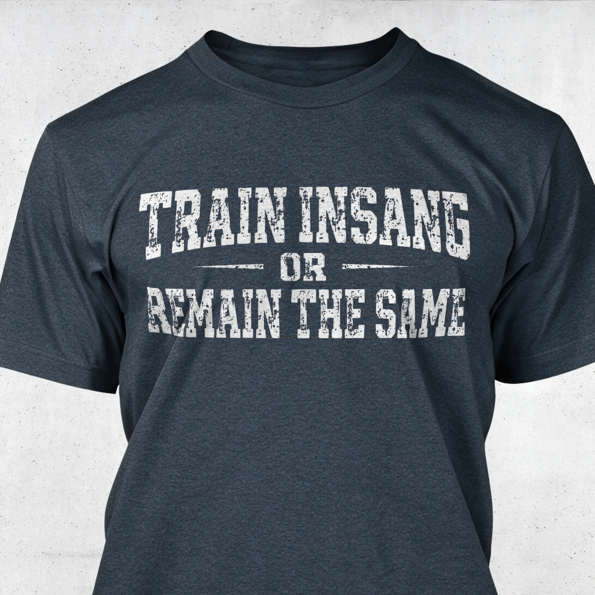 Train Insane or Remain The Same