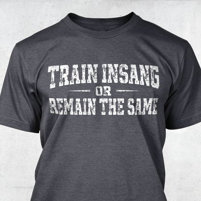 Train Insane or Remain The Same