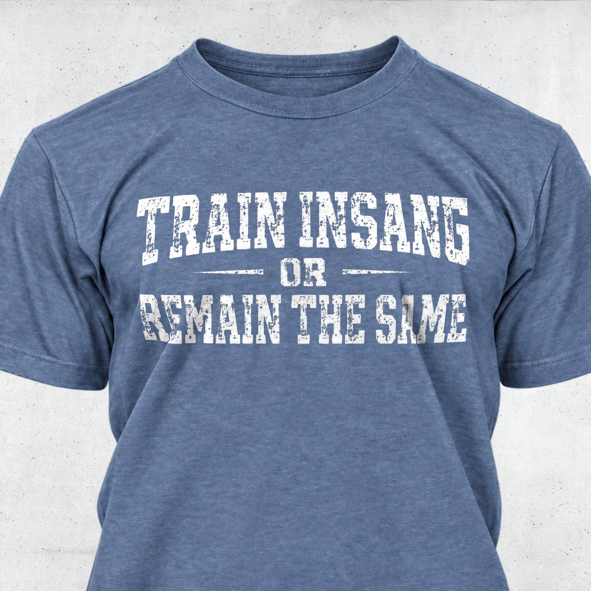 Train Insane or Remain The Same